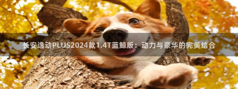 xc越野山地车是什么意思