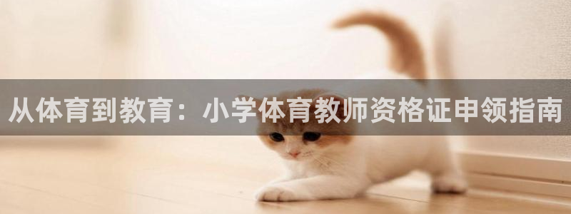 杏彩xc登录注册