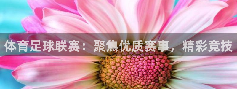 杏彩xc体育1招商