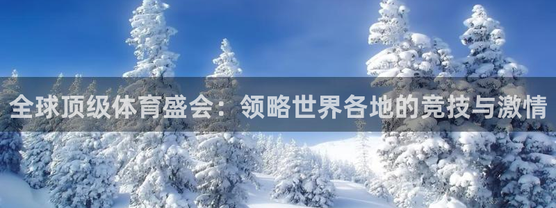 杏彩xc体育2官网入口